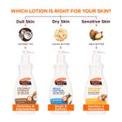 Palmer's Cocoa Butter Daily Skin Therapy Body Lotion (250ml)
