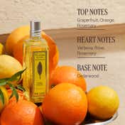 L'Occitane Citrus Verbena Eau de Toilette ( 100 ml)