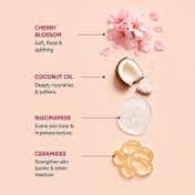 THE LOVE CO. Japanese Cherry Blossom Daily Moisturizing Body Lotion (295ml)