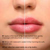 O3+ Lip Sleeping Mask for Plump and Soft Lips (25 g)