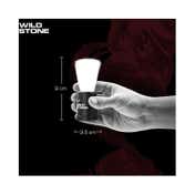 Wild Stone Ultra Fine Shaving Brush with Extra Soft Bristles