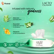Lacto Calamine Daily Cleansing Face-Makeup Wet Wipes With Aloe Vera, Cucumber & Vitamin E-PO1 (25Pcs)