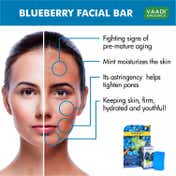 Vaadi Herbals Blueberry Facial Bar (25g)
