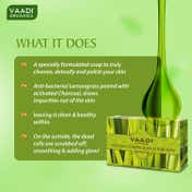 Vaadi Herbals Enticing Lemongrass Scrub Soap (75g)