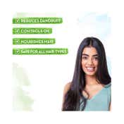 Mamaearth Anti Dandruff Conditioner With Tea Tree & Ginger Oil (250ml)