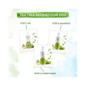 Mamaearth Anti Dandruff Conditioner With Tea Tree & Ginger Oil (250ml)