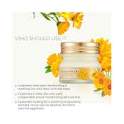 The Face Shop Calendula Essential Moisture Eye Cream (20ml)