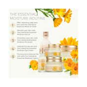 The Face Shop Calendula Essential Moisture Eye Cream (20ml)