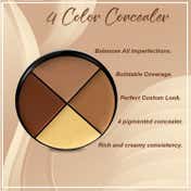 Daily Life Forever52 4 Color Concealer Wheel - AC002 (12 g)
