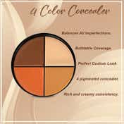 Daily Life Forever52 4 Color Concealer Wheel - AC003 (12 g)