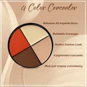 Daily Life Forever52 4 Color Concealer Wheel - AC006 (12 g)
