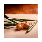 OGX Renewing Argan Oil Of Morocco Shampoo (385ml)
