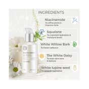 The Face Shop Bright and Dewy Skin Combo