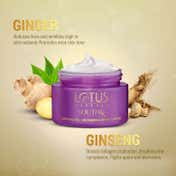 Lotus Herbals Youthrx Anti Ageing Nourishing Night Creme - (50g)