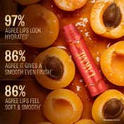 Lakme Lip Love Chapstick Lip Balm - Apricot (4.5g)