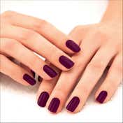 Lakme Absolute Gel Stylist Nail Color - Royalty (12 ml)
