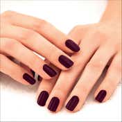 Lakme Absolute Gel Stylist Nail Color - Vineyard (12 ml)