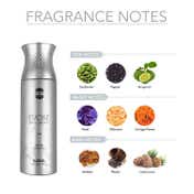 AJMAL Evoke Silver Edition Parfum Deodorant (200ml)