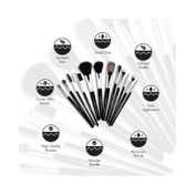 Allure Makeup Brush Set MBS-12 (Pack of 12)