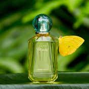 Chopard Happy Lemon Dulci Eau de Parfum (100ml)