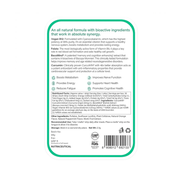 Wellbeing Nutrition Melts Vegan Vitamin B12 Folate, Brahmi, For Brain, Heart & Nervous System Support (30 Strips)