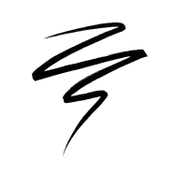 Insight Cosmetics Shiny Waterproof Eyeliner - Black (5 ml)