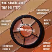 Insight Cosmetics Pro Concealer Palette - Concealer (15 g)