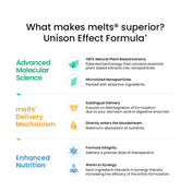 Wellbeing Nutrition Melts Healthy Gut Probiotic 10B CFU Digestive Enzymes and FOS (30 Strips)