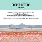 Dr. Sheth's Argireline Peptide and Copper Peptide B'TOX Serum (30 ml)