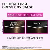 L'Oreal Paris Casting Creme Gloss Hair Color - 530 Praline Brown (87.5g+72ml)