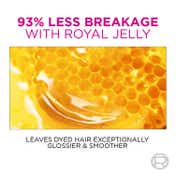 L'Oreal Paris Color & Care Kit (Casting Creme Gloss 400 with Color Protect Shampoo)