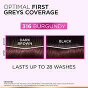 L'Oreal Paris Casting Creme Gloss Hair Color - 316 Burgundy (87.5 g + 72 ml)