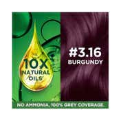 Garnier Color Naturals Creme Hair Color - 3.16 Burgundy (70ml+60g)