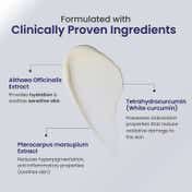 Reequil Skin Radiance Cream for Niacinamid Arbutin White Curcumin (30 g)