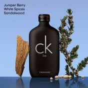 Calvin Klein Ck Be Eau De Toilette - EDT For Everyone Unisex Perfume (200 ml)
