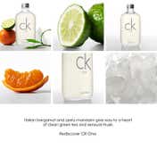 Calvin Klein Ck One Eau De Toilette - EDT For Everyone Unisex Perfume (100 ml)