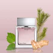 Calvin Klein Euphoria Eau De Toilette For Men - EDT For Him Male Perfume (100 ml)