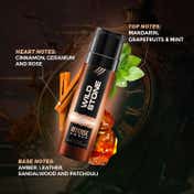 Wild Stone Intense Amber Body Perfume (120 ml)