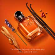 Emporio Armani Stronger with You Intensely Eau De Parfum (100 ml)