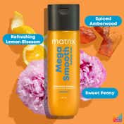 Matrix Mega Smooth Sulfate-Free Combo For Chemically Treated Hair + Free Mini Mask (3 pcs)