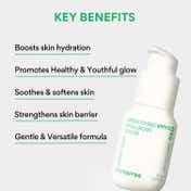 Innisfree Green Tea Seed Hyaluronic Serum (30ml)