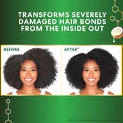 Palmer's Amino Bonding Complex Hair Mask Pack With Coconut Oil (355 ml)