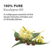RAS Luxury Oils Nutmeg Pure Essential Oil (10 ml)