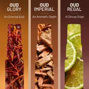 Wild Stone Code Oud Regal, Imperial & Glory Discovery Set For Men (3 pcs)