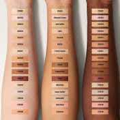 Daily Life Forever52 Complete Coverage Concealer - COV016 Espresso (10 g)