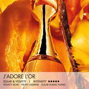 DIOR J'Adore L'Or Perfume Essence for Women (50 ml)