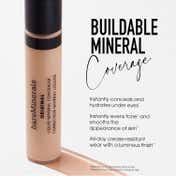 bareMinerals Original Liquid Mineral Concealer - Dark 5C (6 ml)