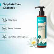 Pilgrim Sulfate Free Shampoo With Argan Oil Camellia & White Lotus (200ml)