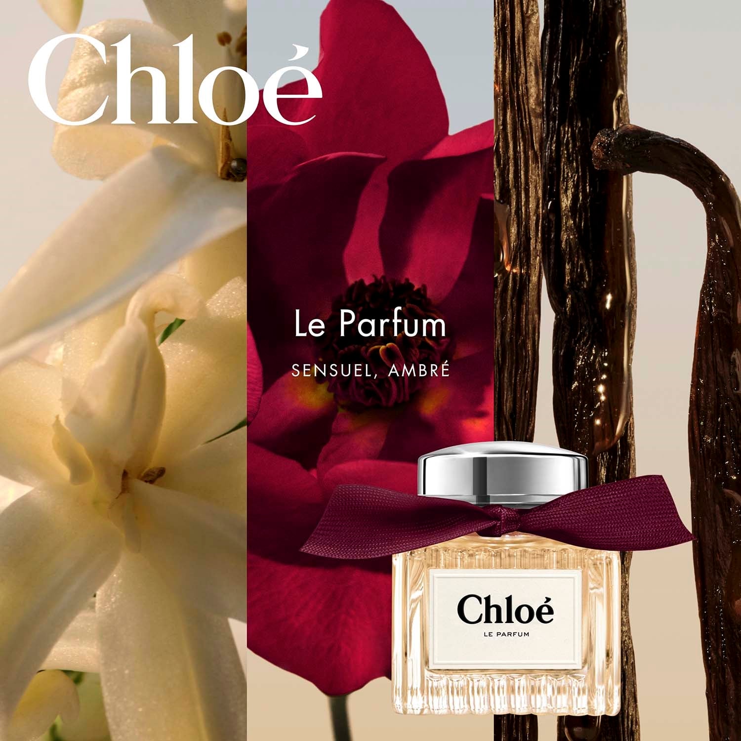 Chloe Le Parfum for Women (100 ml)
