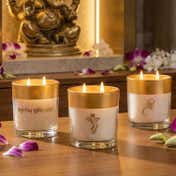 Seva Home Enchante Divine Collection Candle (3 Pcs)